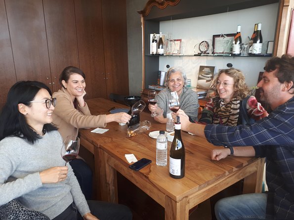 Day trip Lisbon Wine Tasting - Private tour - Who This Tour Fits Best (And Who Might Want Another Option)