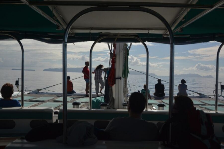 Desertas Islands Full-Day Catamaran Trip from Funchal - Key things I’d prioritize
