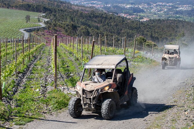 Dirt and Dust Tour by Oporto Buggy - Price and Value: Is $96.55 Worth It?