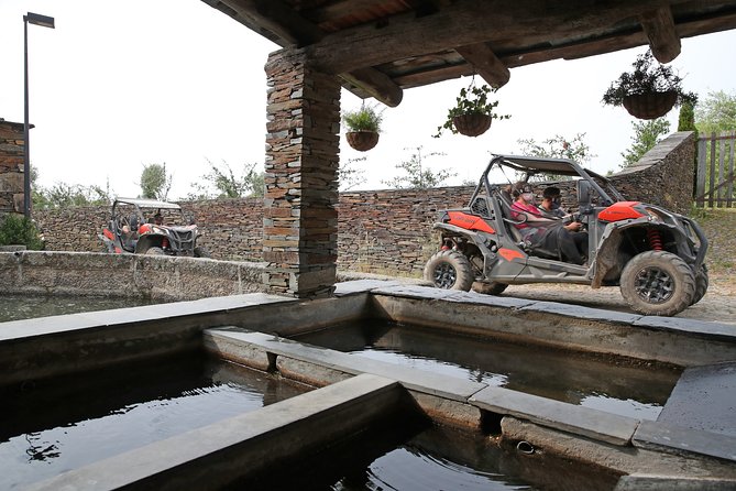 Dirt and Dust Tour by Oporto Buggy - The Rally Shakedown Stop: Dirt Roads With a Real Motorsport Feel