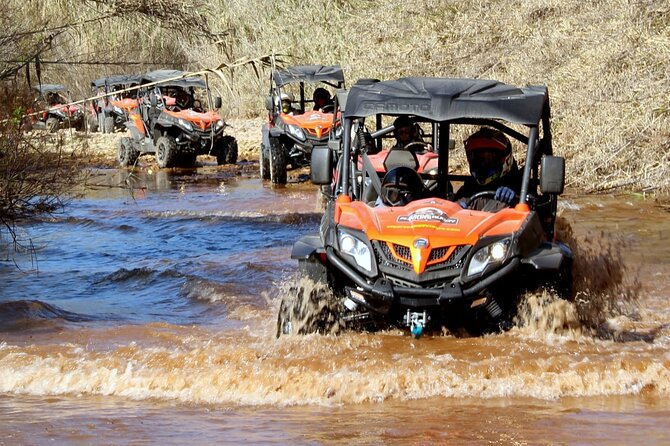 Dirt & Dust Buggy Tour - Dirt & Dust in Algarve: what the 1.5-hour buggy run is really like