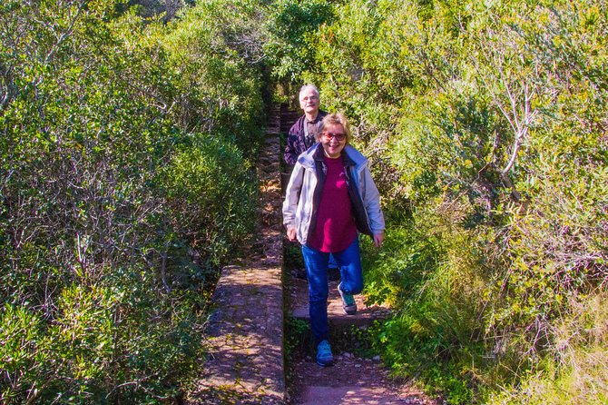 Discover Arrábida: The Secret Paradise - Arrábida from Lisbon: a nature-and-wine day that feels like a change of world
