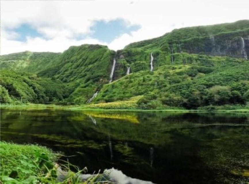 Discover Flores – Full-Day Tour | Island of Your Dreams - Poço do Bacalhau: the waterfall, the natural pool, and a practical break