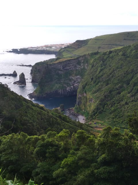 Discover Flores – Full-Day Tour | Island of Your Dreams - Cascata da Ribeira do Ferreiro: the Jurassic Park walk you should not rush