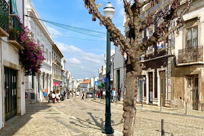 Discover Tavira - Tapas and Wine Tour - Price and what you actually get for $89.87