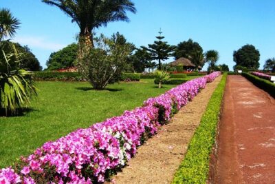 Discover the unexplored beauty of the island by jeep the Nordeste - Price and logistics: what $95.86 buys you