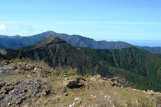 Discover the unexplored beauty of the island by jeep the Nordeste - Stop 1: Serra da Tronqueira and the bullfinch laurel forest