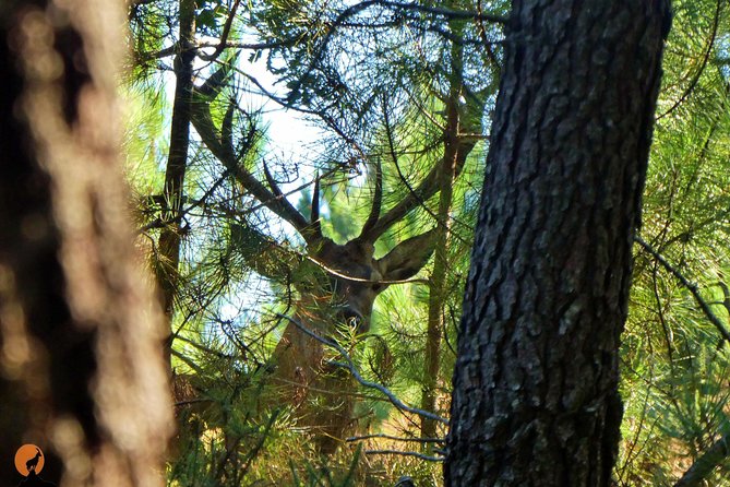 Discovering Nature in Serra da Lousã - Parque Verde do Mondego: a simple warm-up
