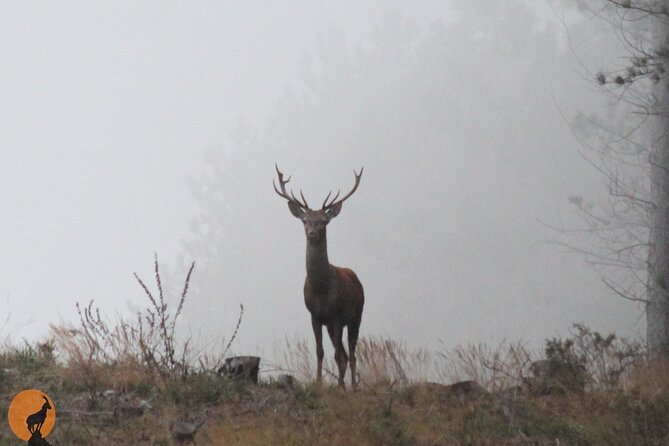 Discovering Nature in Serra da Lousã - Riding Serra da Lousã for animals and signs