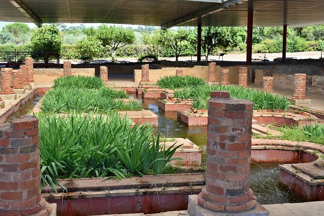 Discovering the Roman Ruins of Conímbriga and the Caves of Sicó - Stop 1: Museu Monográfico de Conímbriga and Roman Ruins (2 hours)