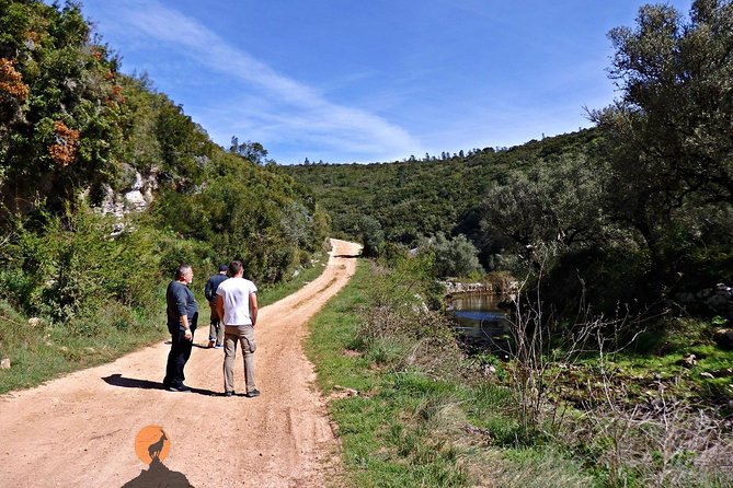 Discovering the Roman Ruins of Conímbriga and the Caves of Sicó - Guide Sérgio: smooth driving, smart stories, and photos