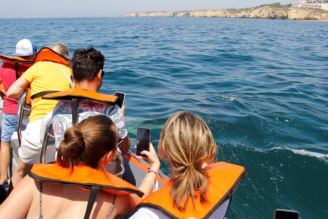 Dolphin and Whale Watching in Lagos - What you actually do at sea: scanning, repositioning, and quick moments