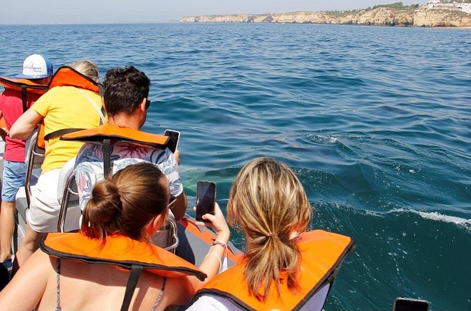 Dolphin and Whale Watching in Lagos - How the guide helps you spot dolphins and whales fast