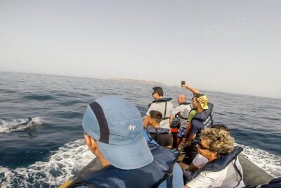 Dolphin Route - Roaz Corvineiro and the dolphin search: what you’re actually hoping to see