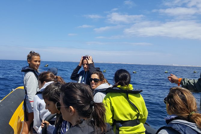 Dolphin Route - Coming back toward Areia Branca beach: what the return feels like