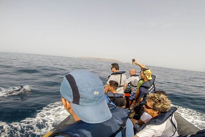 Dolphin Route - Roaz Corvineiro and the dolphin search: what you’re actually hoping to see