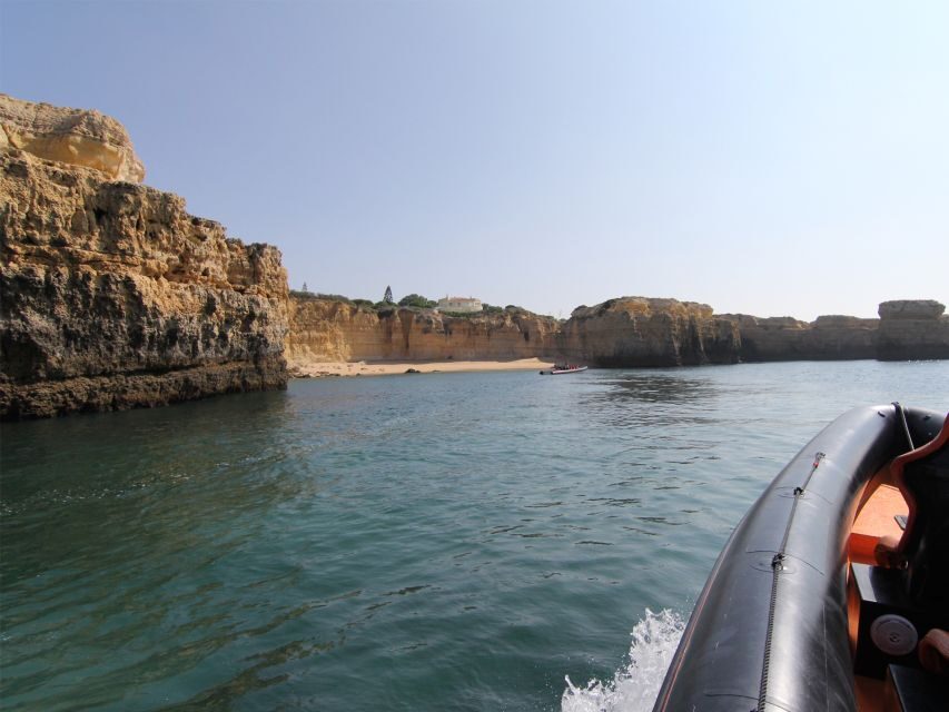 Dolphin Safari and Cave Tour in Vilamoura - Setting out from Vilamoura Marina: where this cruise actually starts