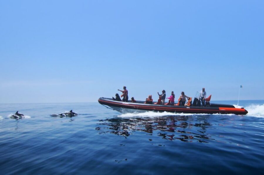 Dolphin Safari and Cave Tour in Vilamoura - The cave and rock-formation portion: beautiful, but weather-dependent