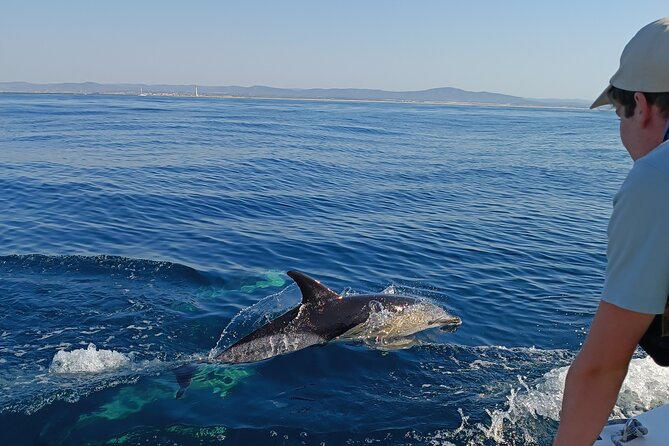 Dolphin Watching + 2 Islands Tour - From Faro - Key Points I’d Use to Decide