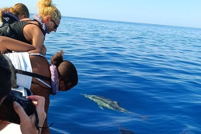 Dolphin Watching + 2 Islands Tour - From Faro - Barreta Island and the Return Through Ria Formosa: More Seeing, Less Sitting