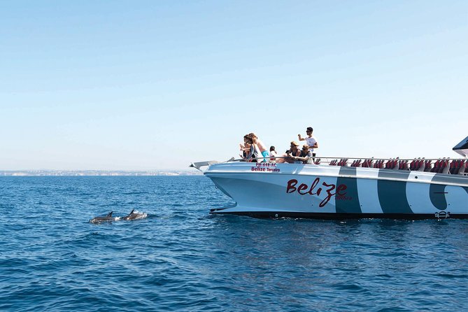 Dolphin Watching and Cave Boat Cruise from Albufeira - Key Takeaways Before You Go