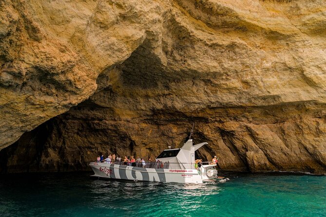 Dolphin Watching and Cave Boat Cruise from Albufeira - Benagil Cave and Algarve Caves: What You Actually See From the Boat