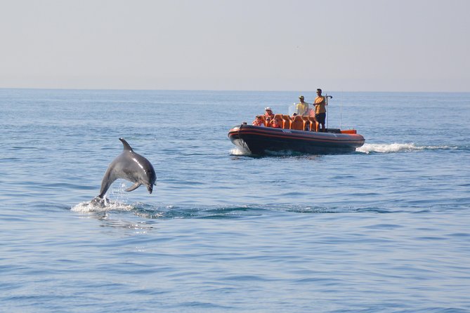 Dolphin Watching and Cave Tour from Vilamoura - Vilamoura’s dolphin-and-cave combo: built for offshore spotting