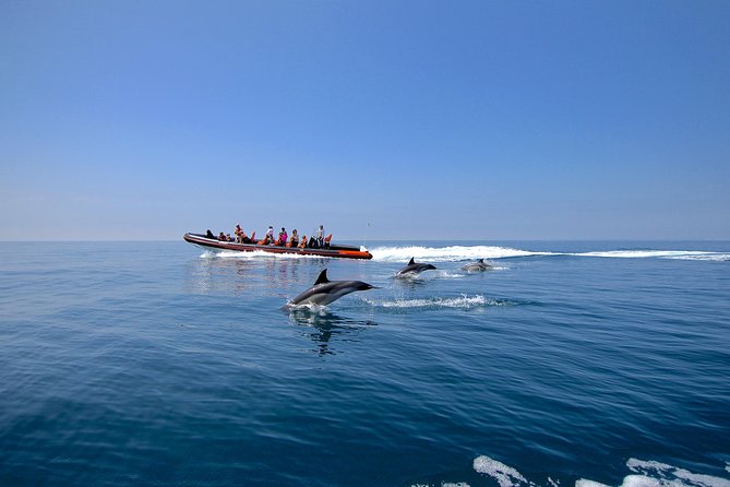 Dolphin Watching and Cave Tour from Vilamoura - Starting at Vilamoura Watersports Centre: where the day begins