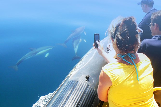 Dolphin Watching and Cave Tour from Vilamoura - Weather reality: why the Atlantic runs the show