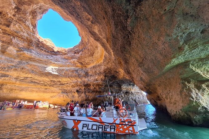 Dolphin Watching and Caves Cruise - Key Highlights You’ll Feel Right Away