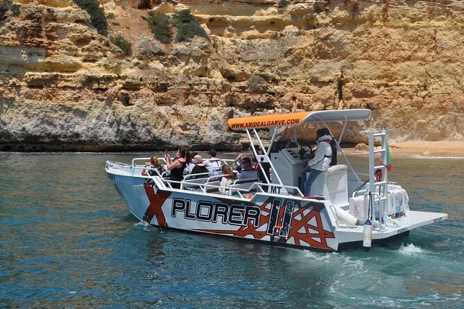 Dolphin Watching and Caves Cruise - Group Size and What That Changes for You
