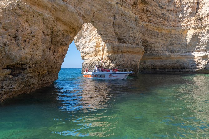 Dolphin Watching and Caves Cruise - Who This Cruise Is Best For