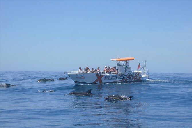 Dolphin Watching and Caves Cruise - Benagil Cave: The 10-Minute Visit That Counts