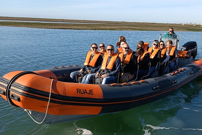 Dolphin Watching from Faro - Key things to know before you go