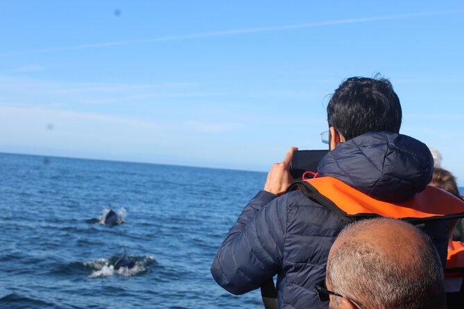 Dolphin Watching from Faro - Finding Your Boat in Faro: Cais das Portas do Mar