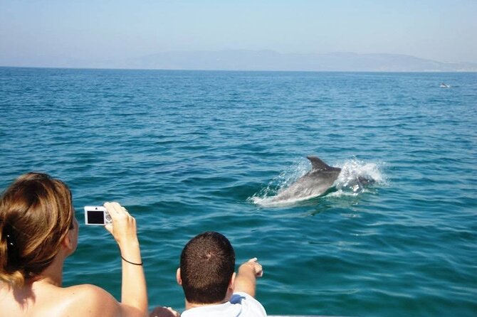 Dolphin Watching from Faro - Why the Skipper’s Route Matters More Than You Think