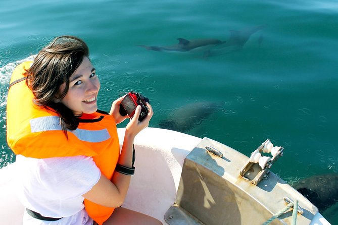 Dolphin Watching from Fuzeta - Key things I’d watch for