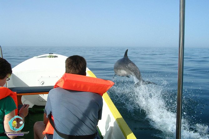 Dolphin Watching from Fuzeta - Safety and comfort: life jackets help, but dress for sea spray