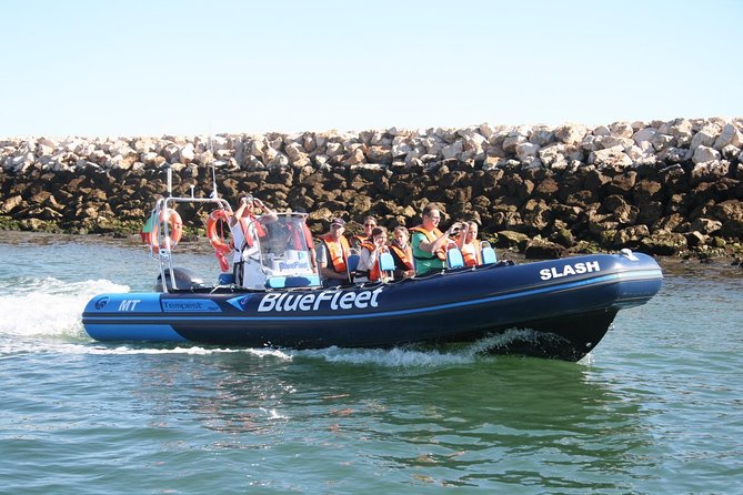 Dolphin Watching from Lagos with Marine Biologists - Departure times that fit your Lagos day