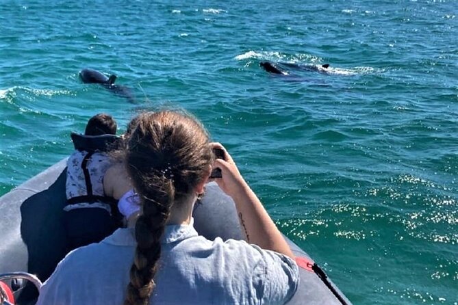 Dolphin watching in Setúbal - Sailing the Sado River: what the 2h15 cruise actually feels like