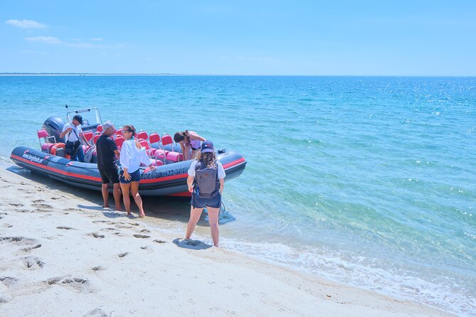 Dolphin watching in Setúbal - Cliffs, small caves, islands: what the Arrábida scenery adds