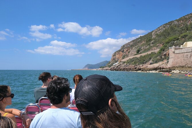 Dolphin watching in Setúbal - Boat comfort, shade, and seasickness reality check