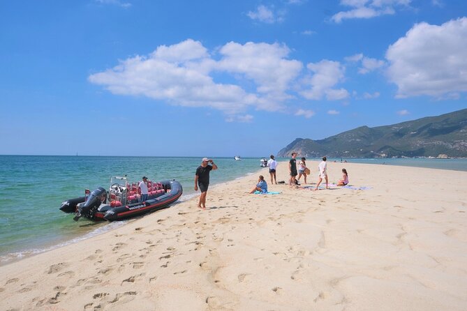 Dolphin watching in Setúbal - English guidance and the private-group vibe