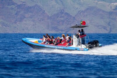 Dolphin - Whale - Turtle - Bird Watching - Funchal Bay return route: scenery plus facts