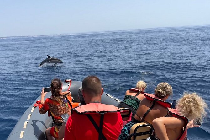 Dolphins & Benagil Caves with Biologist guide - Dolphins with a biologist: what you’re really looking for