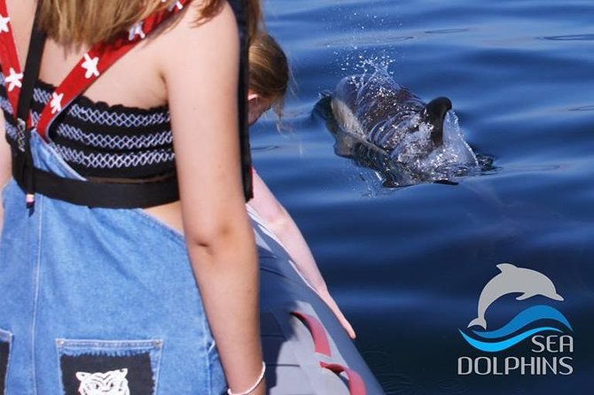 Dolphins Watching - Marina de Portimão Start: Meeting Point and First Impressions