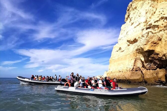 Dolphins Watching - Boat Comfort and the Thrill Factor: Rigid Craft, Fast Return