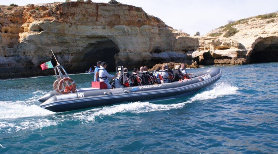 Dolphins Watching - Portimão - Key Highlights You’ll Actually Care About