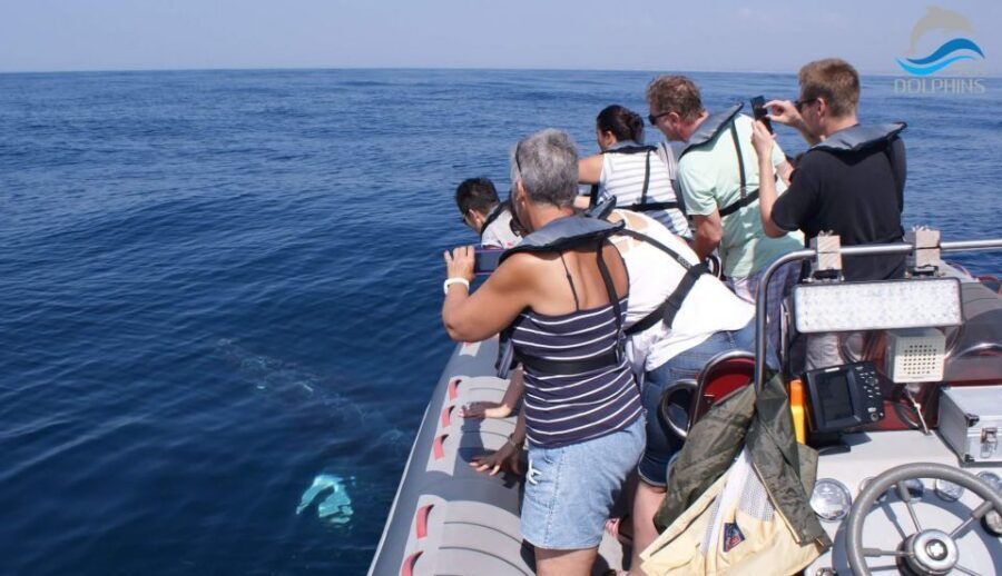 Dolphins Watching - Portimão - What’s Included, What Isn’t, and What You’ll Want On You