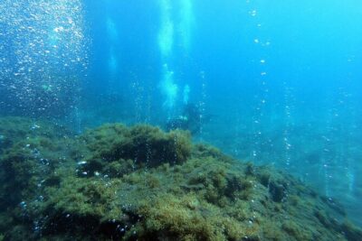 Double Scuba Diving - Vila Franca do Campo: the first underwater stop